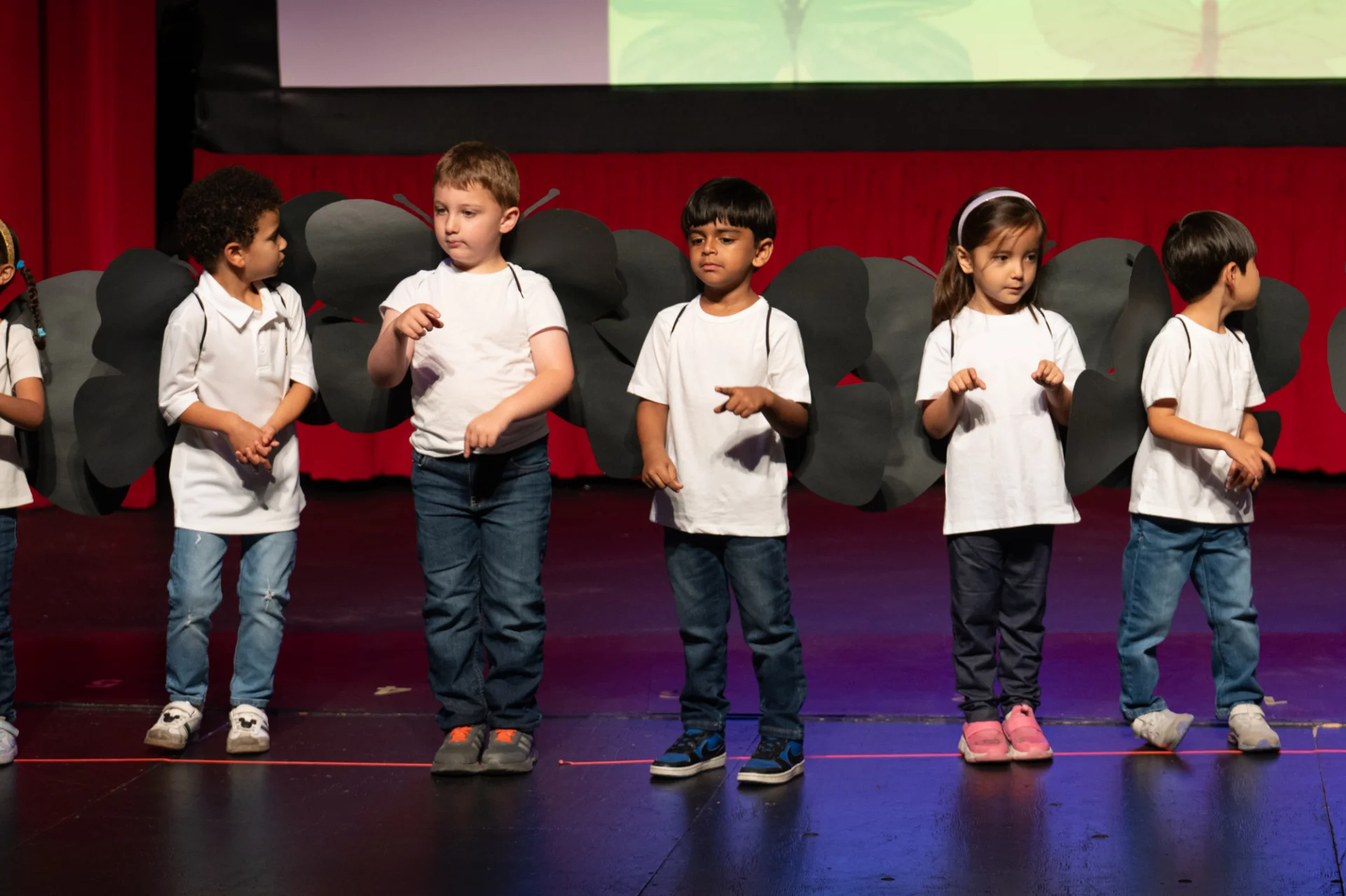 Butterfly 2026 35.webp